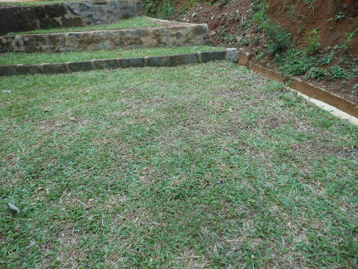 Lavender Hills Home Stay Kandy Exterior photo